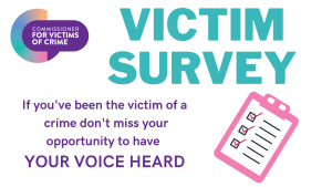 Victim Survey graphic